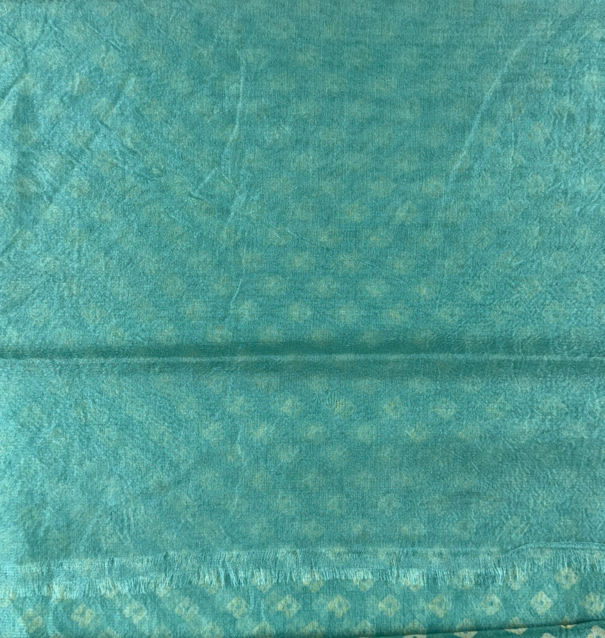 Light Teal Green Bandhani Print -Organza Saree
